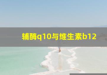 辅酶q10与维生素b12