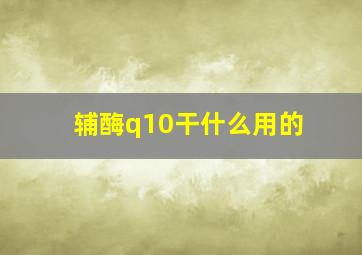 辅酶q10干什么用的