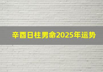 辛酉日柱男命2025年运势