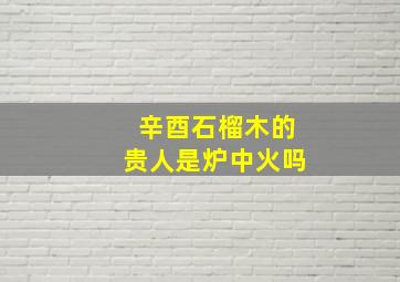 辛酉石榴木的贵人是炉中火吗