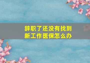 辞职了还没有找到新工作医保怎么办