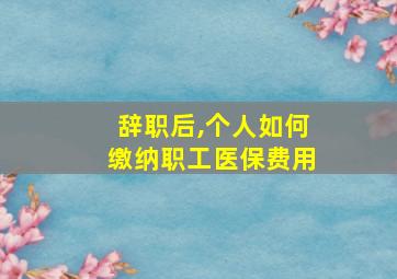 辞职后,个人如何缴纳职工医保费用