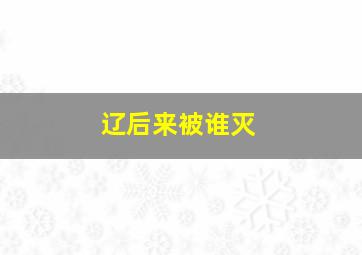 辽后来被谁灭