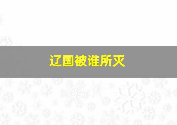 辽国被谁所灭