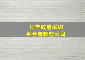 辽宁政府采购平台有哪些公司