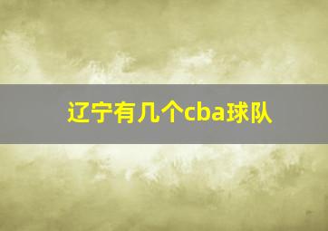 辽宁有几个cba球队