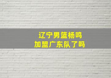 辽宁男篮杨鸣加盟广东队了吗