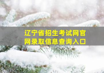 辽宁省招生考试网官网录取信息查询入口