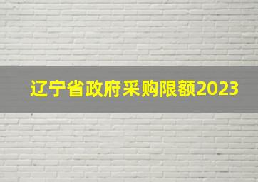 辽宁省政府采购限额2023