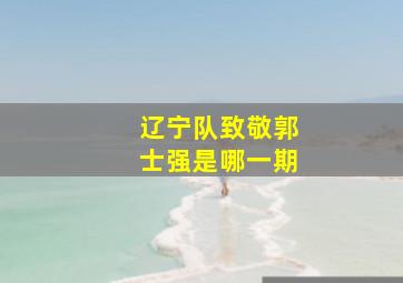 辽宁队致敬郭士强是哪一期