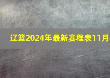 辽篮2024年最新赛程表11月