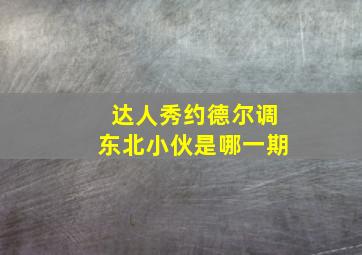 达人秀约德尔调东北小伙是哪一期