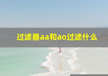 过滤器aa和ao过滤什么