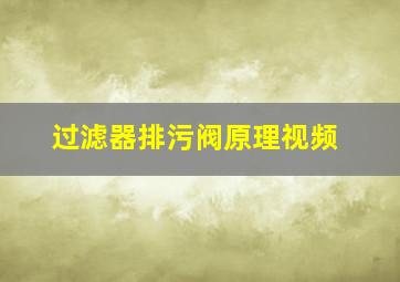 过滤器排污阀原理视频