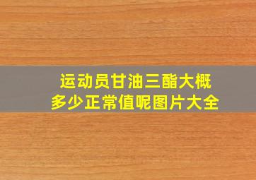 运动员甘油三酯大概多少正常值呢图片大全