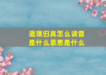 返璞归真怎么读音是什么意思是什么