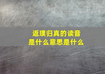 返璞归真的读音是什么意思是什么