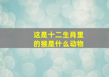 这是十二生肖里的猴是什么动物