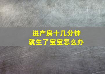 进产房十几分钟就生了宝宝怎么办