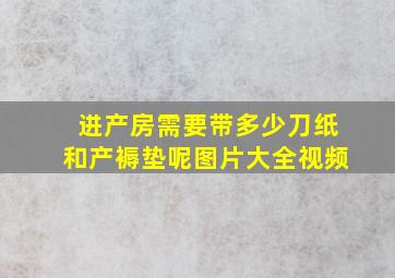 进产房需要带多少刀纸和产褥垫呢图片大全视频