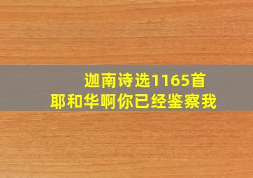 迦南诗选1165首耶和华啊你已经鉴察我