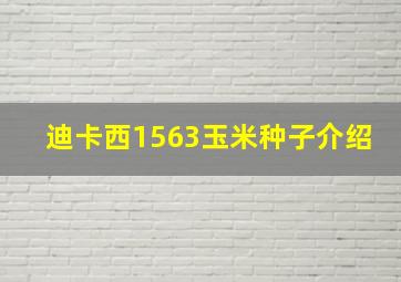 迪卡西1563玉米种子介绍