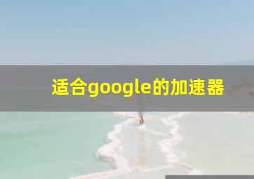 适合google的加速器