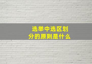 选举中选区划分的原则是什么