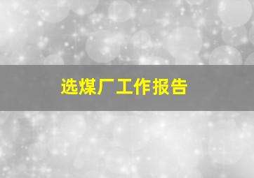 选煤厂工作报告