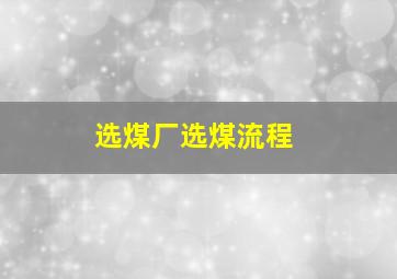 选煤厂选煤流程