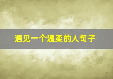 遇见一个温柔的人句子