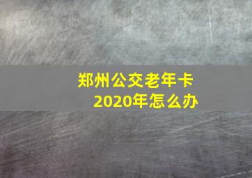 郑州公交老年卡2020年怎么办