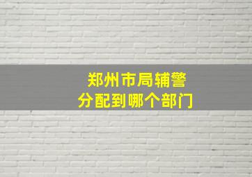 郑州市局辅警分配到哪个部门