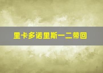 里卡多诺里斯一二带回