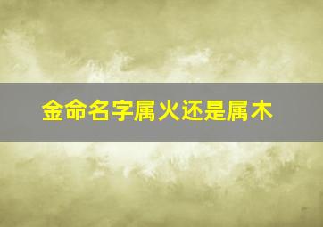 金命名字属火还是属木