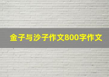 金子与沙子作文800字作文