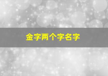 金字两个字名字