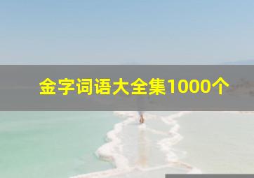 金字词语大全集1000个