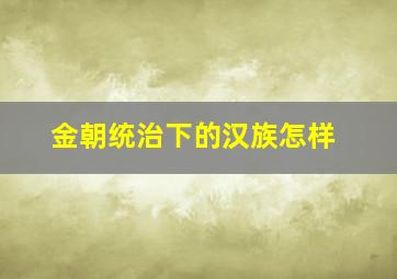 金朝统治下的汉族怎样