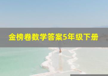 金榜卷数学答案5年级下册