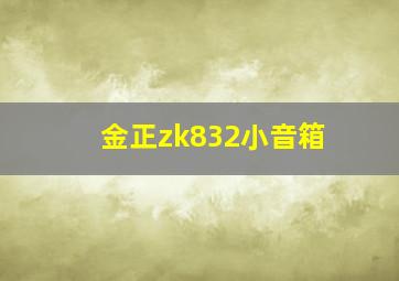 金正zk832小音箱