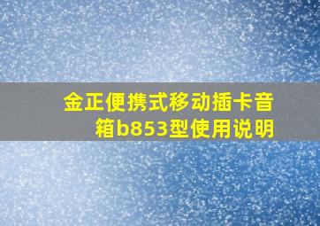 金正便携式移动插卡音箱b853型使用说明