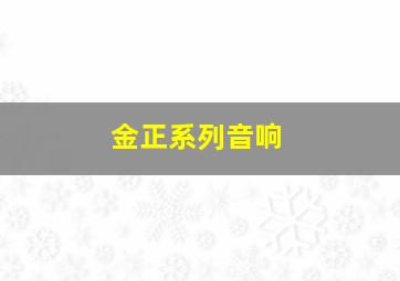 金正系列音响