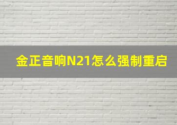 金正音响N21怎么强制重启