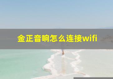 金正音响怎么连接wifi