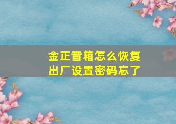 金正音箱怎么恢复出厂设置密码忘了