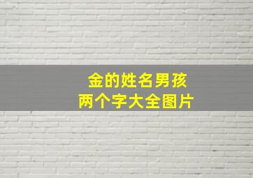 金的姓名男孩两个字大全图片