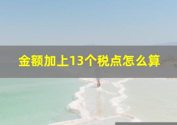 金额加上13个税点怎么算