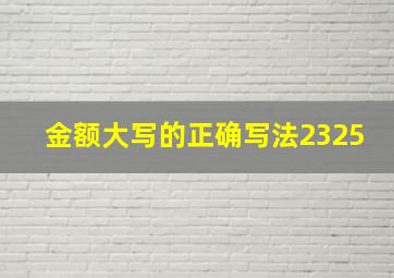 金额大写的正确写法2325