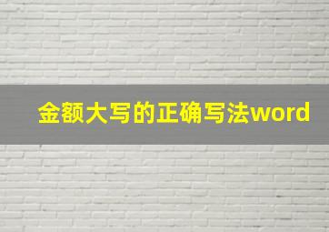 金额大写的正确写法word